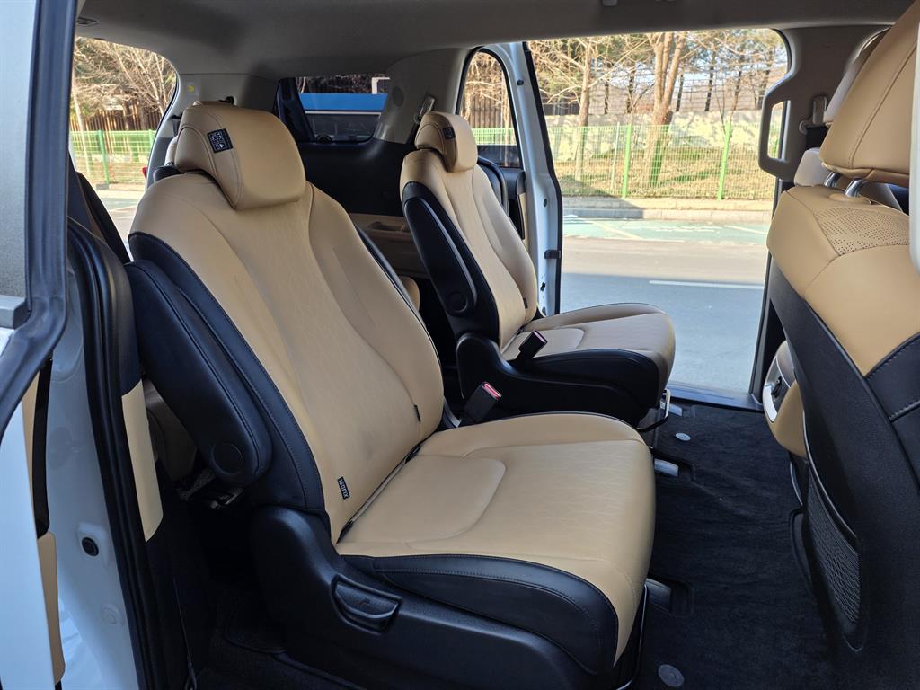 KIA Carnival - Vista 12