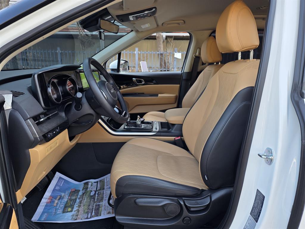 KIA Carnival - Vista 8