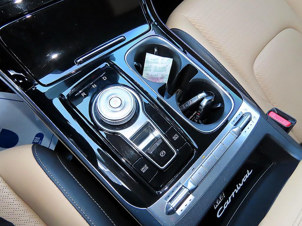 KIA Carnival - Vista 11