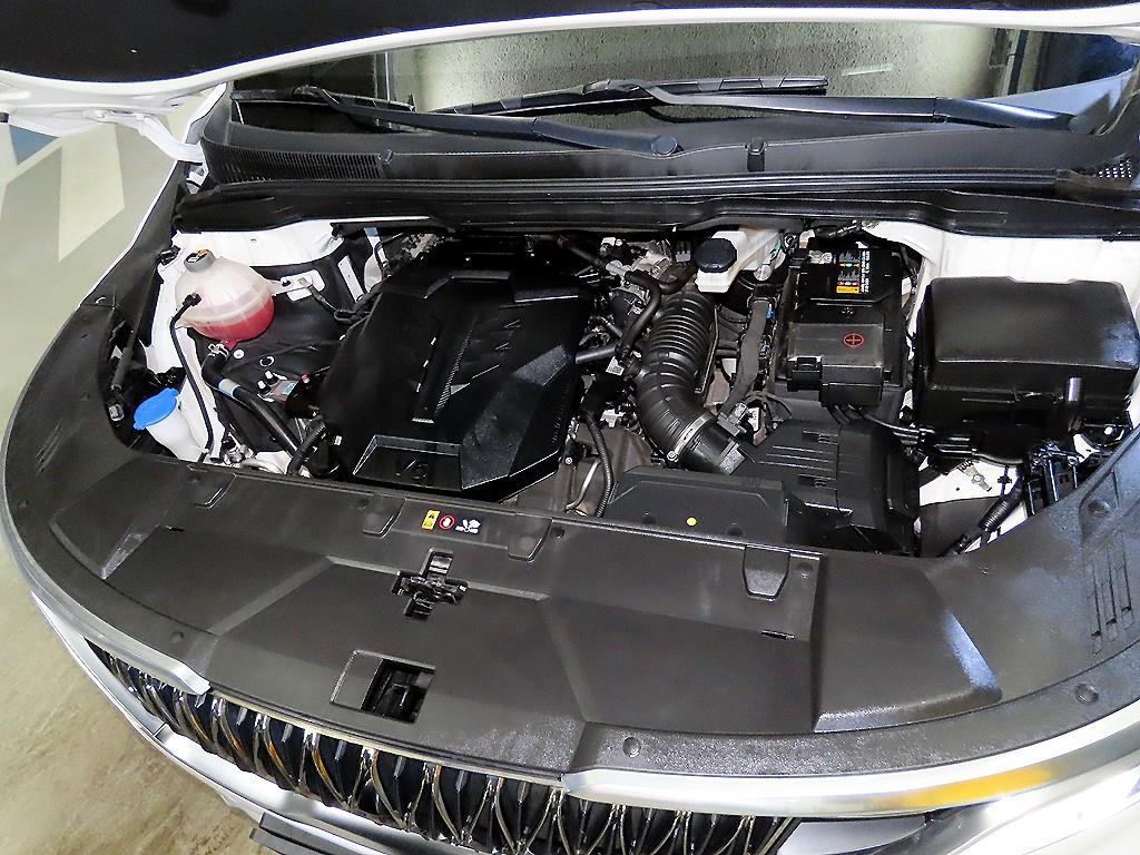 KIA Carnival - Vista 6