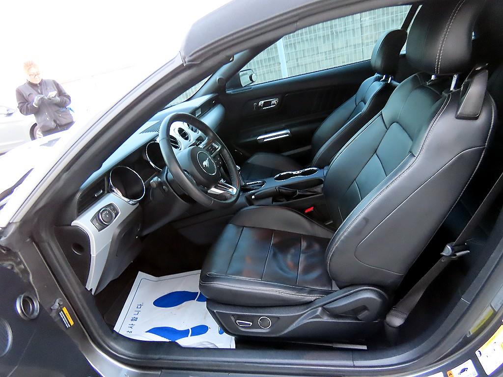 Ford Mustang - Vista 10