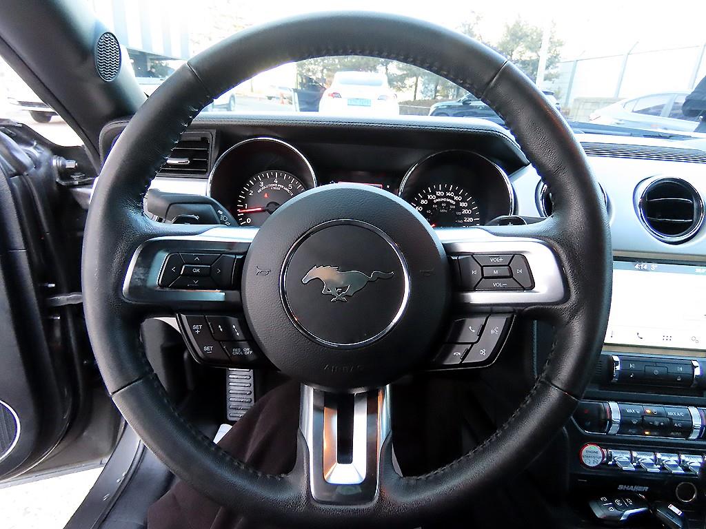 Ford Mustang - Vista 12