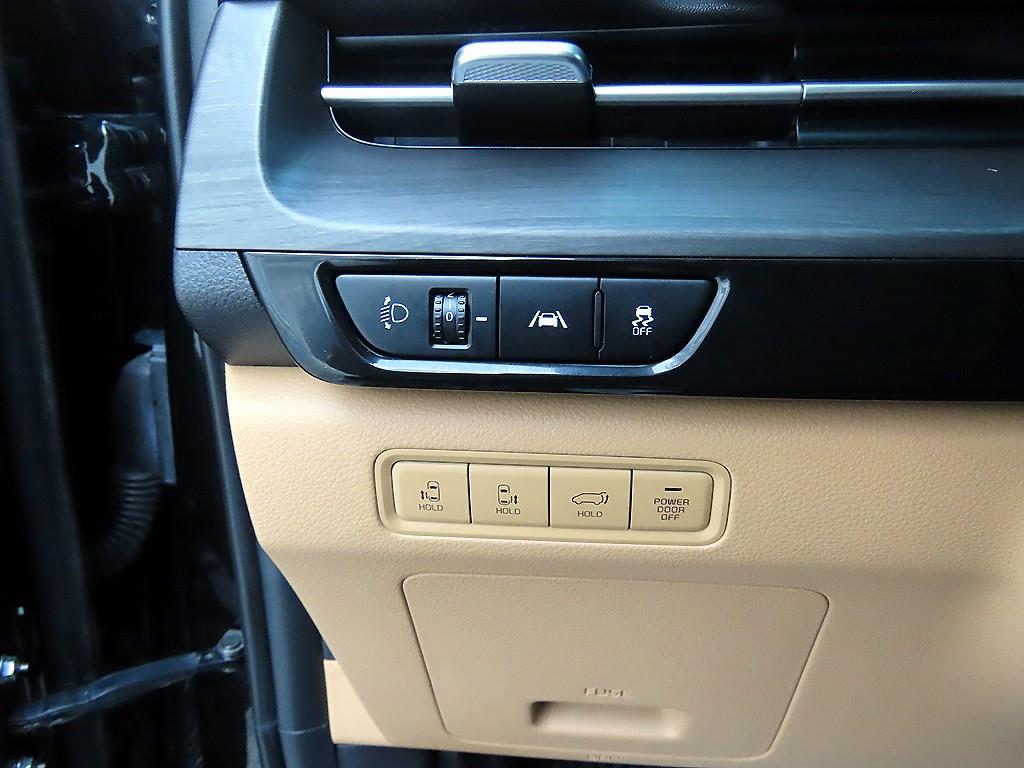 KIA Carnival - Vista 12
