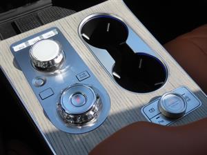 Genesis GV80 - Vista 12