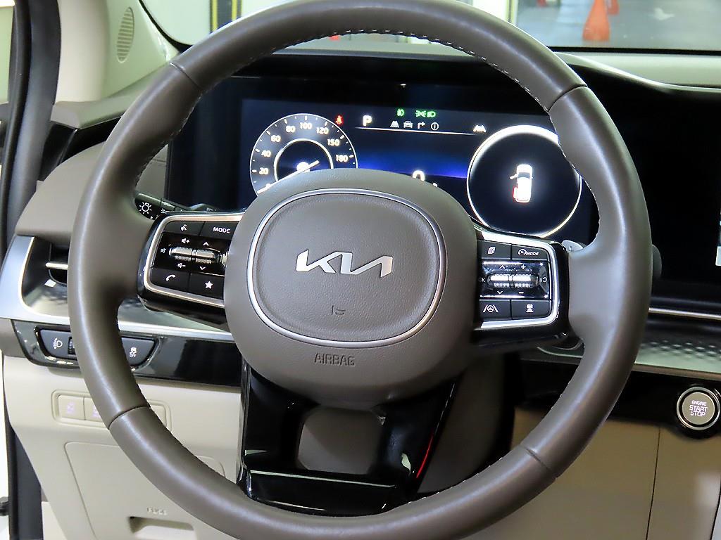 KIA Carnival - Vista 8