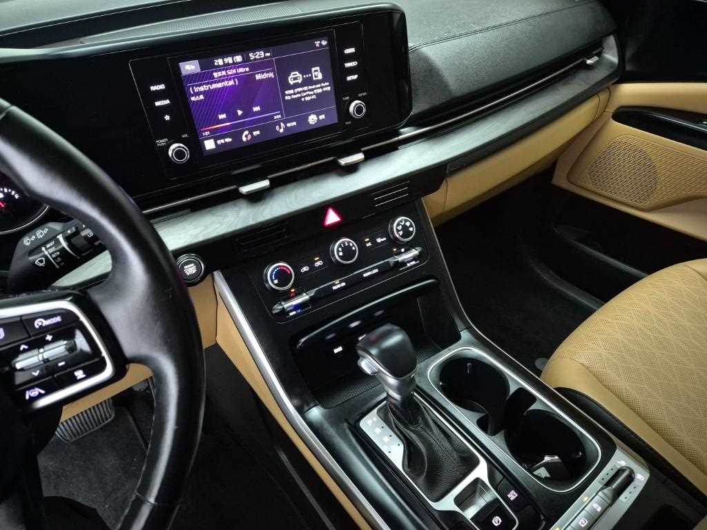 KIA Carnival - Vista 10