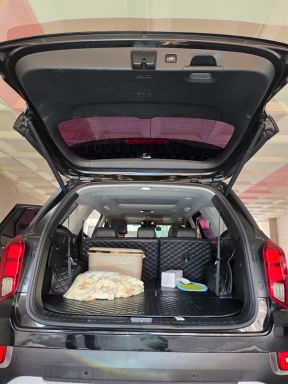 HYUNDAI Palisade - Vista 9