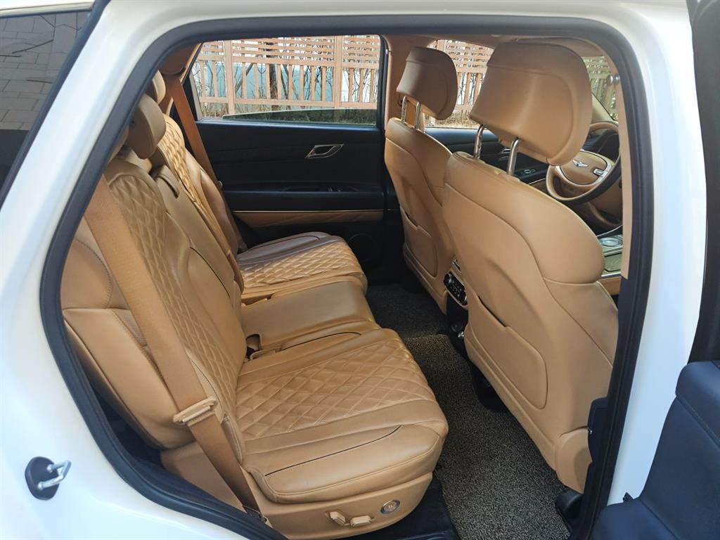 Genesis GV80 - Vista 12