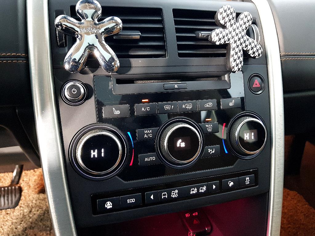 Land Rover Discovery Sports - Vista 11