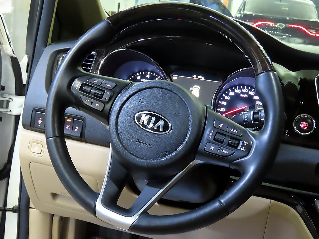 KIA Carnival - Vista 8
