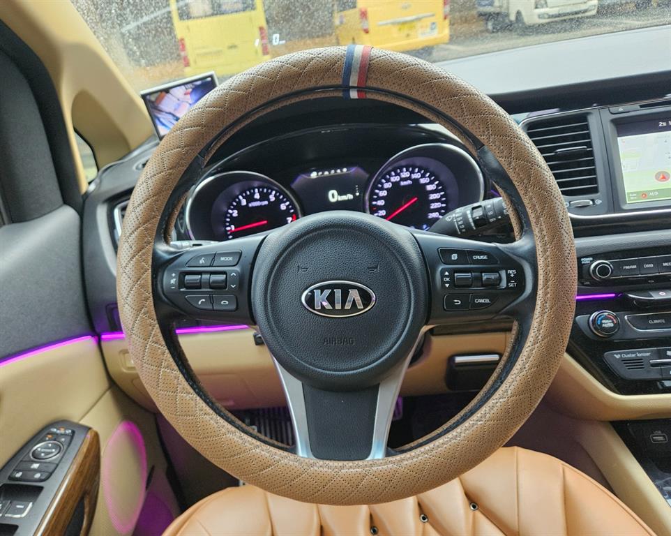KIA Carnival - Vista 12