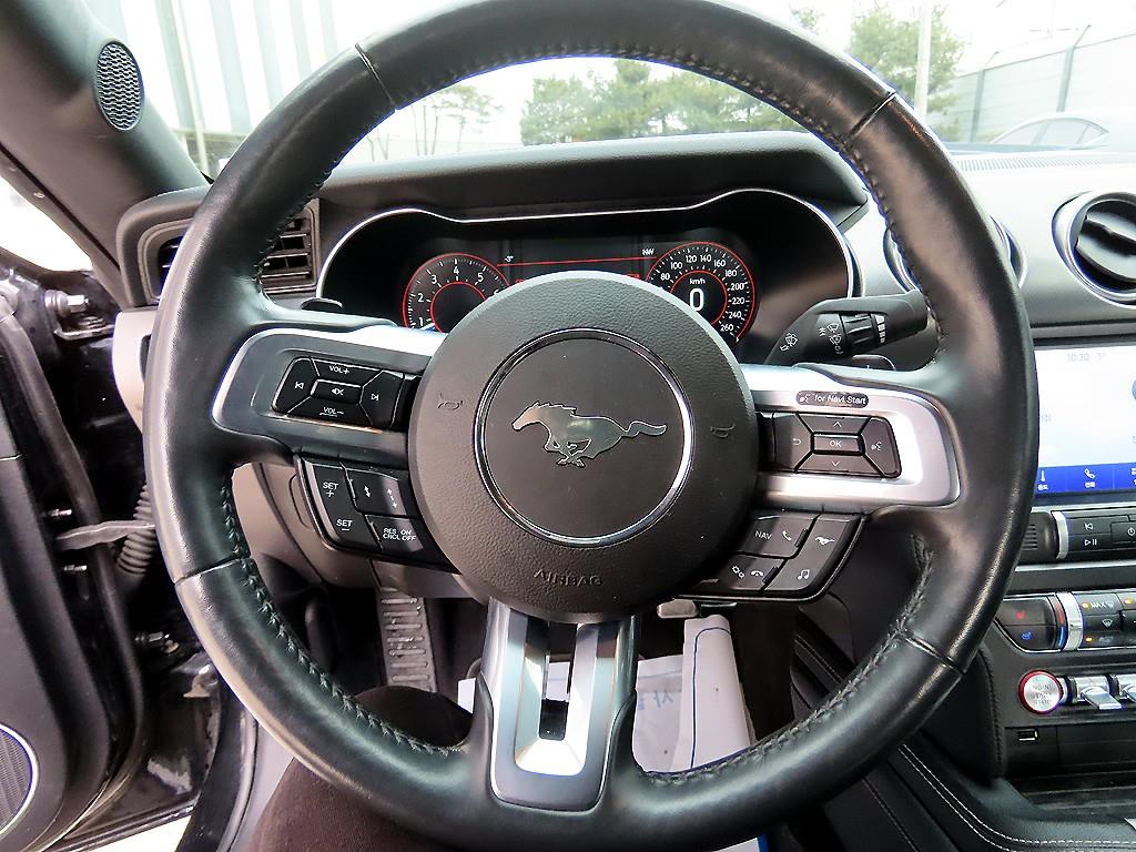 Ford Mustang - Vista 8