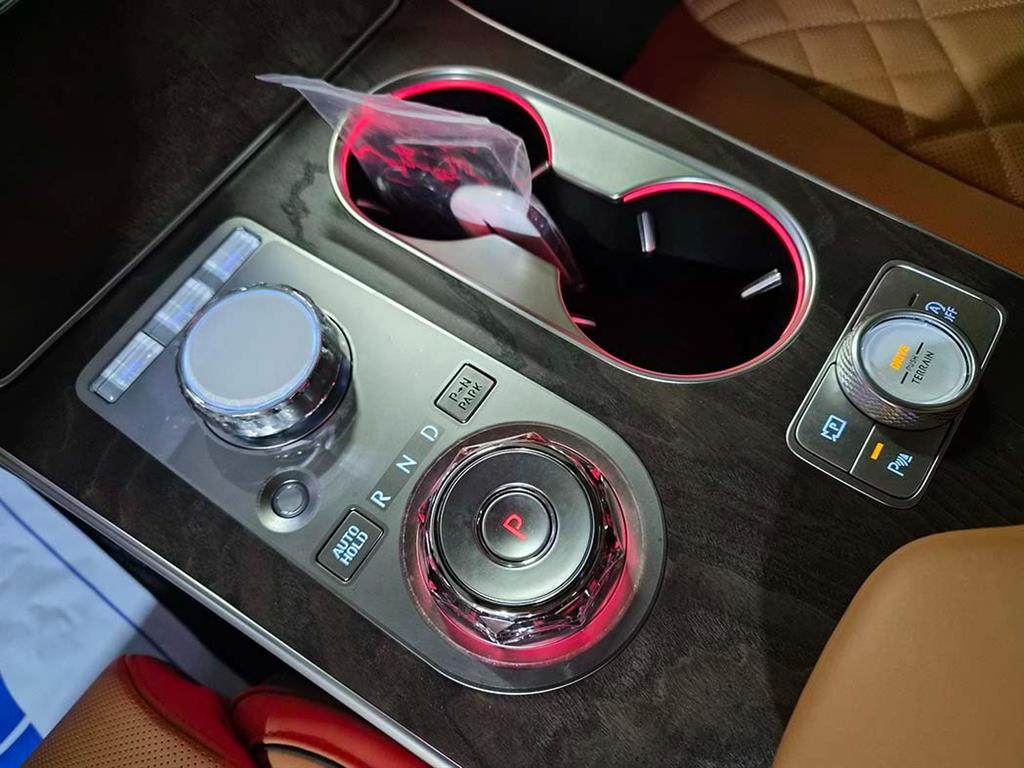 Genesis GV80 - Vista 11