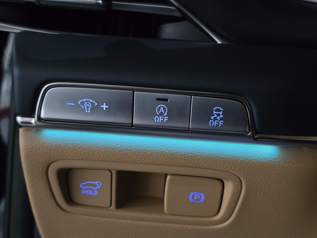 Genesis GV80 - Vista 10