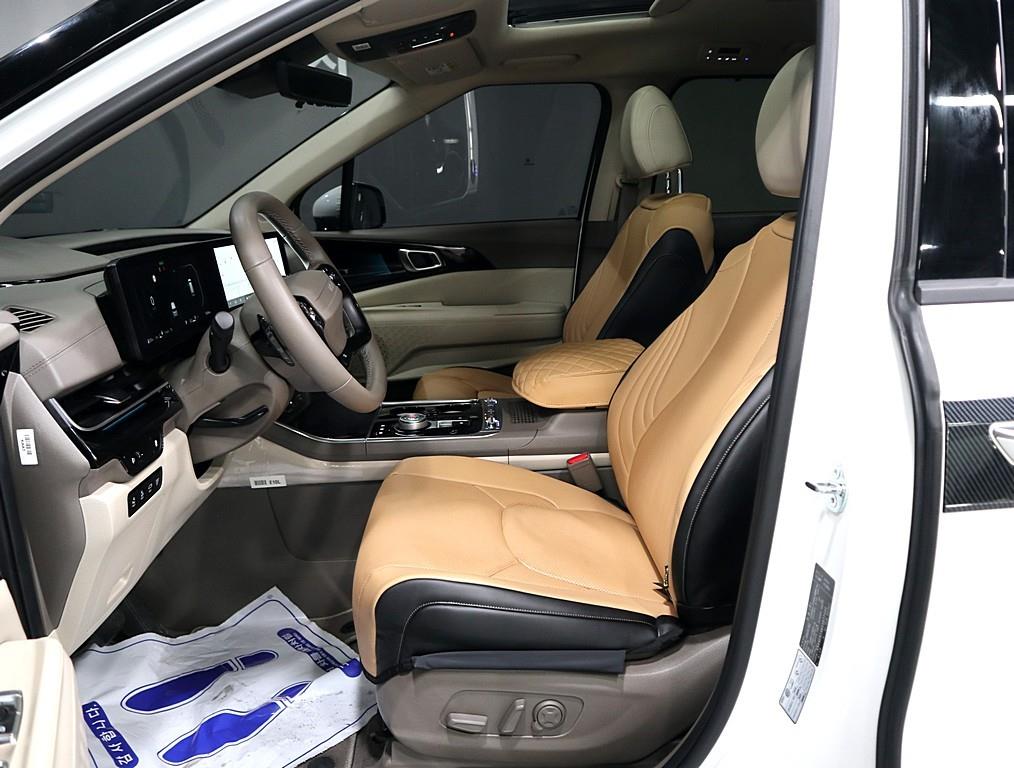 KIA Carnival - Vista 9