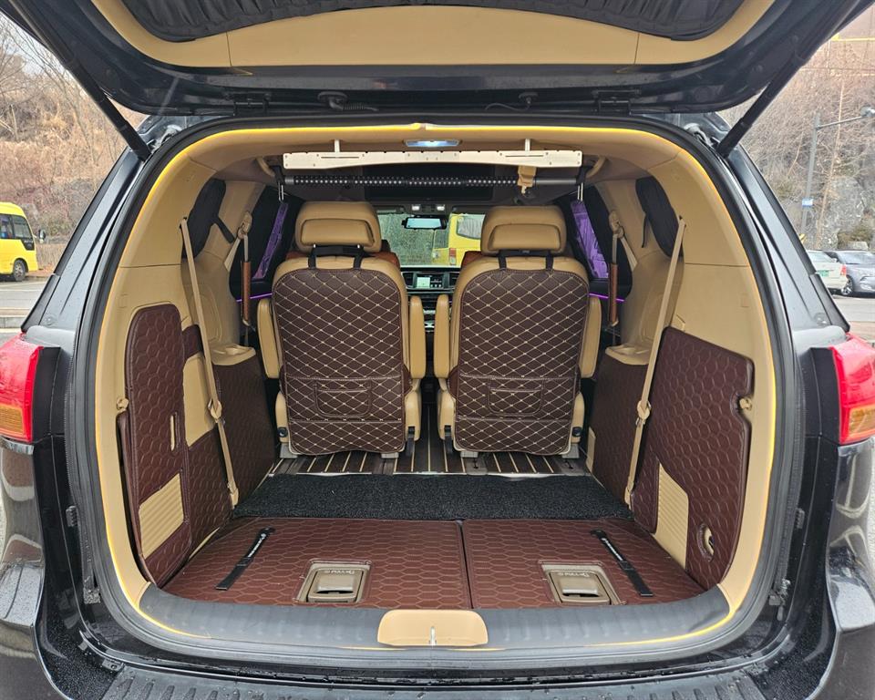 KIA Carnival - Vista 7