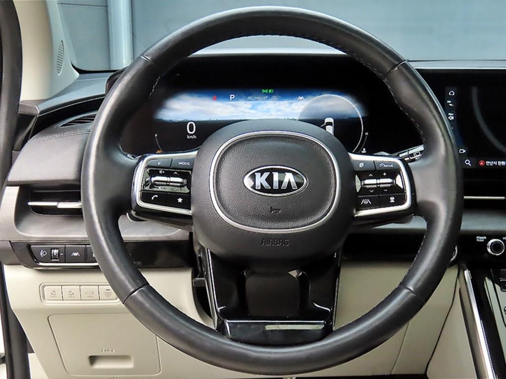 KIA Carnival - Vista 9