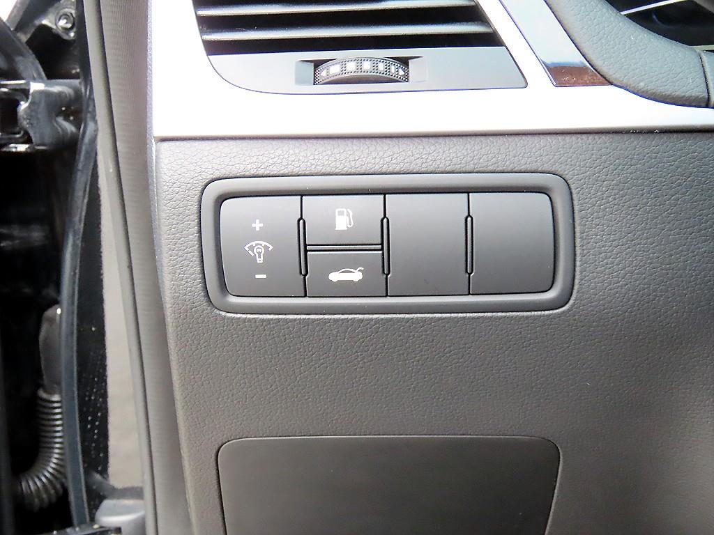 HYUNDAI Genesis - Vista 12