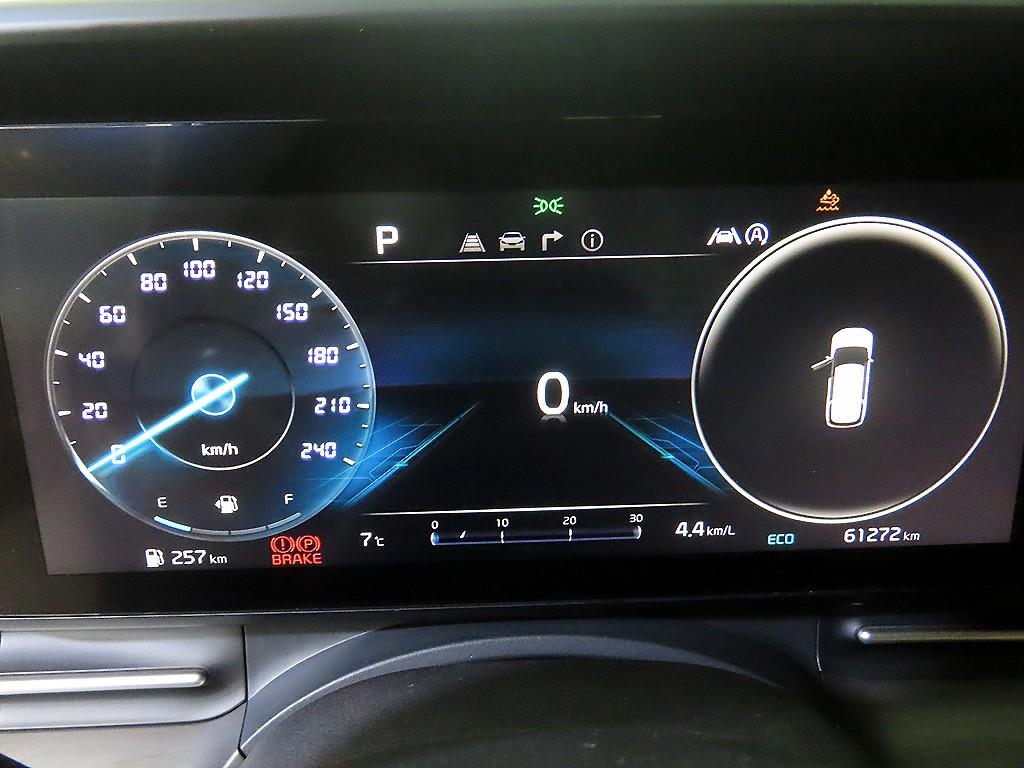 KIA Carnival - Vista 9