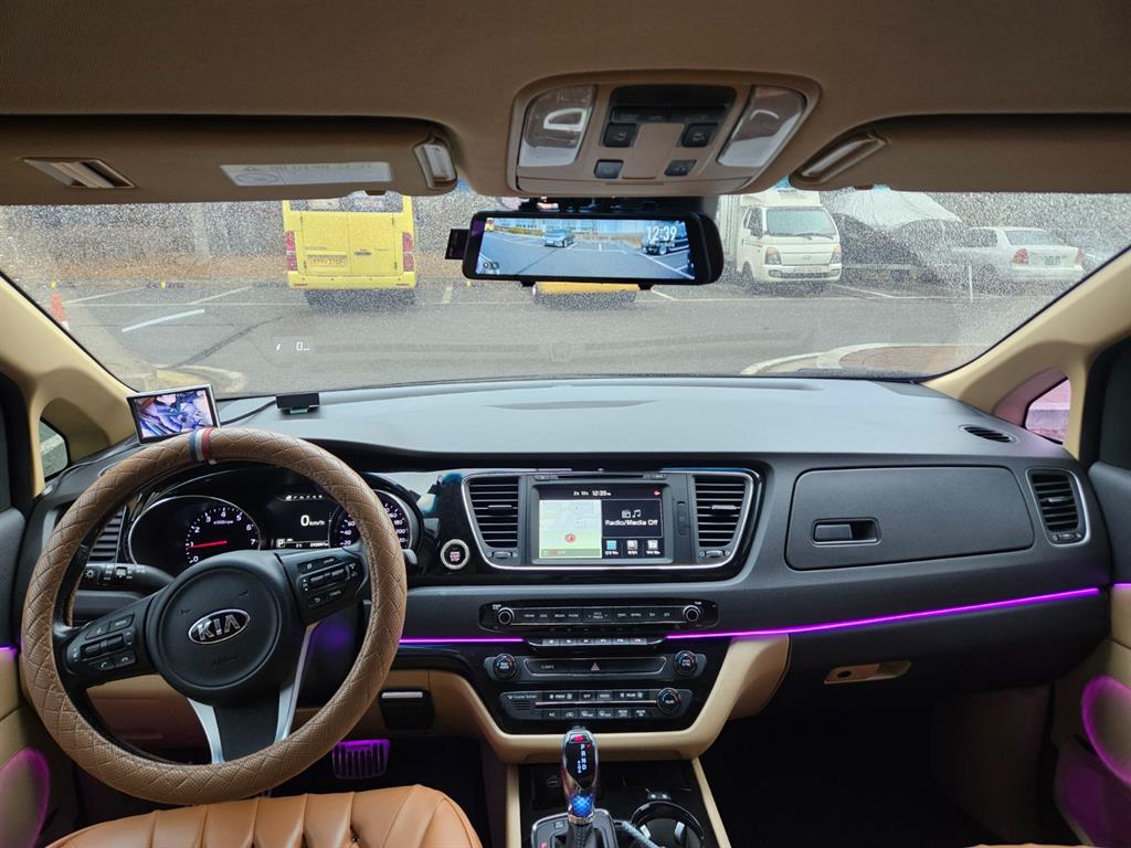 KIA Carnival - Vista 8