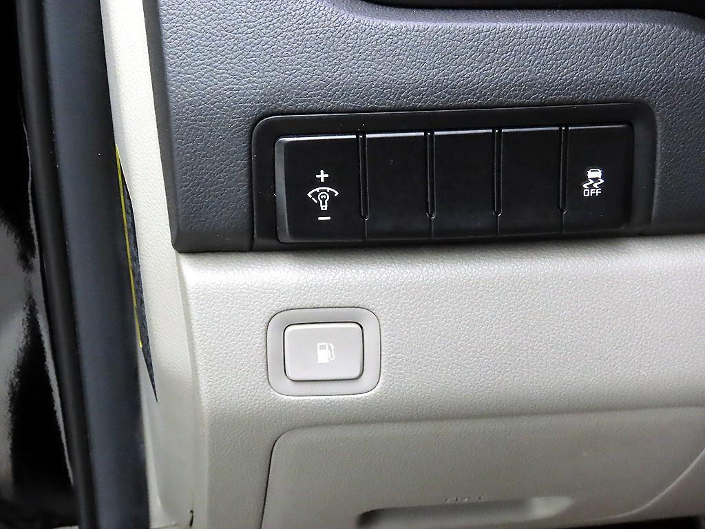 KIA Carnival - Vista 12