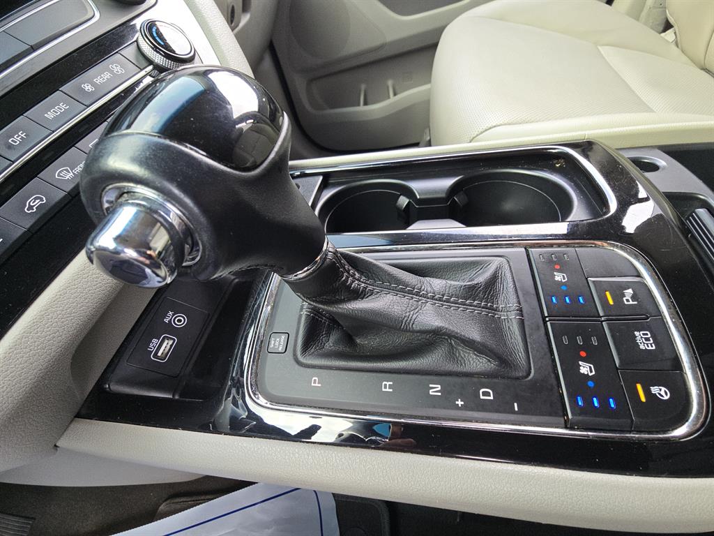 KIA Carnival - Vista 8