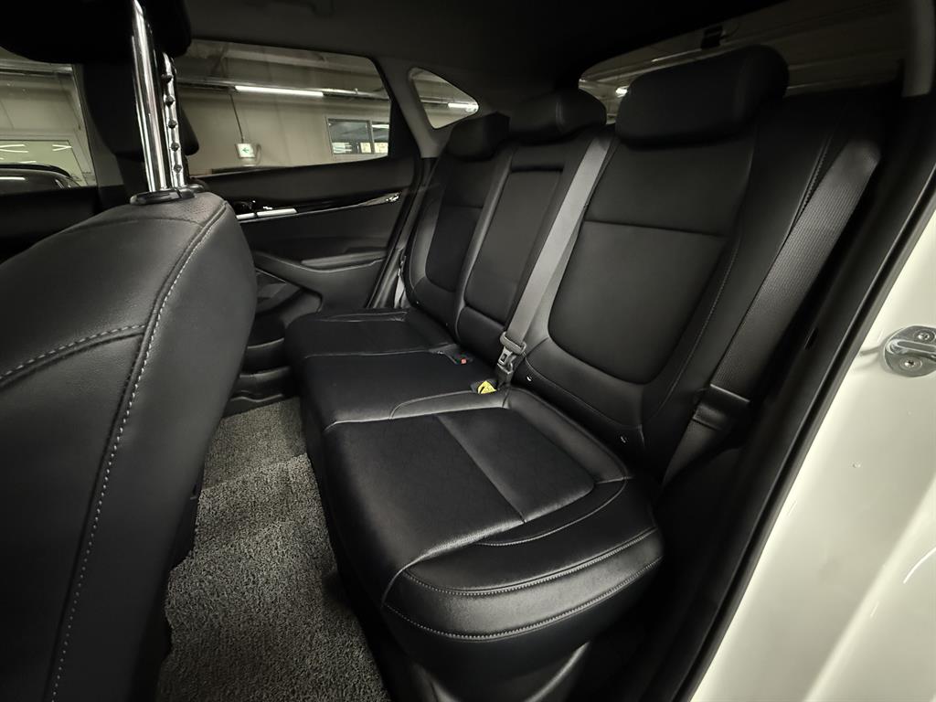 KIA Seltos - Vista 7