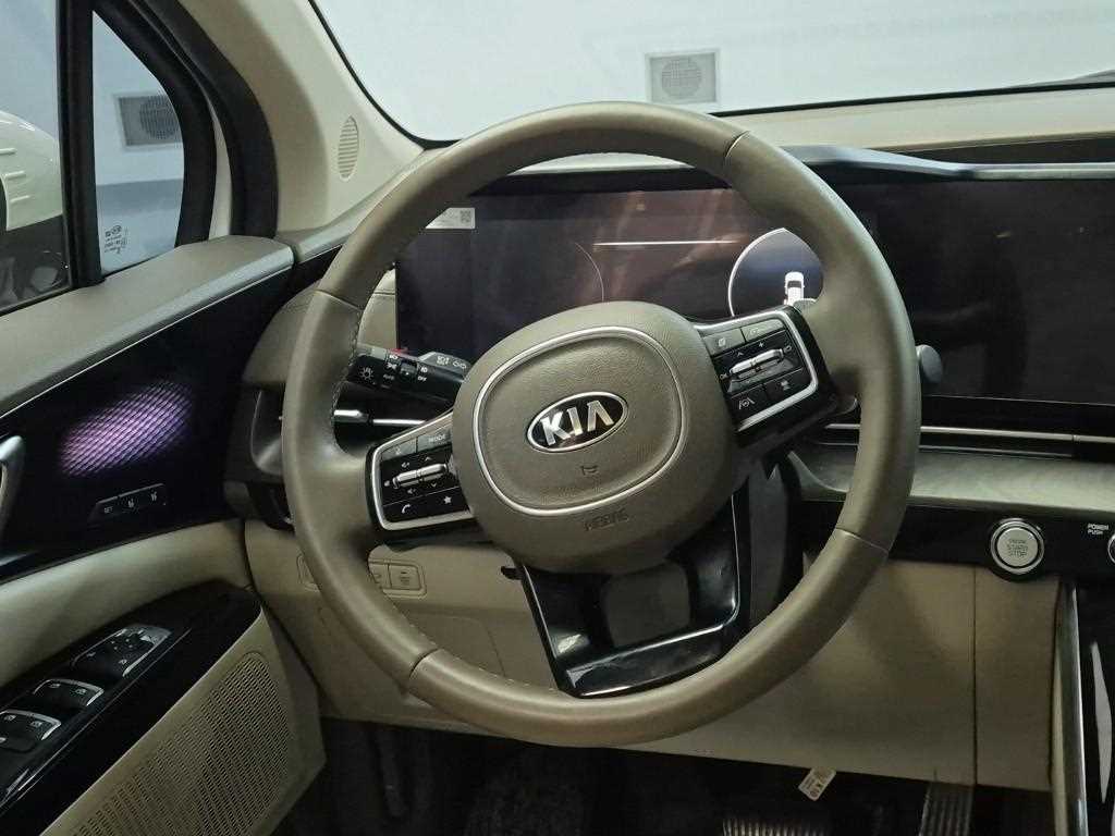 KIA Carnival - Vista 9
