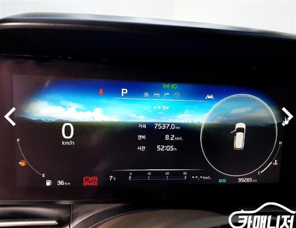 KIA Carnival - Vista 7