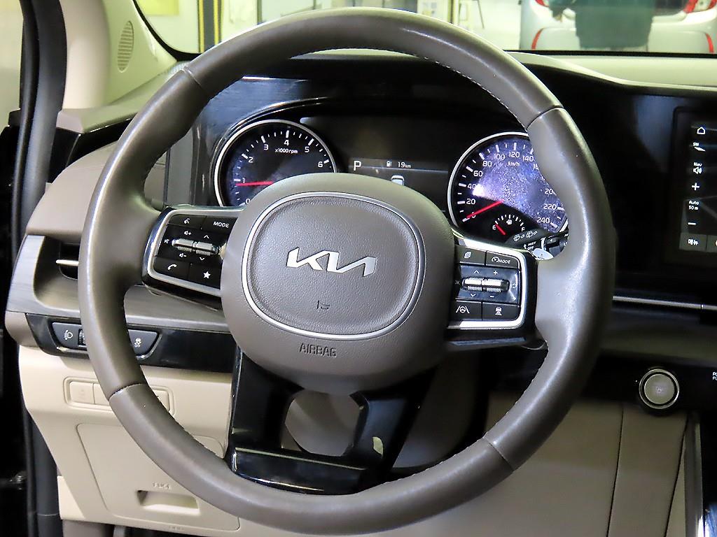 KIA Carnival - Vista 8