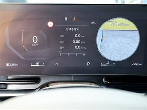 KIA Carnival - Vista 12