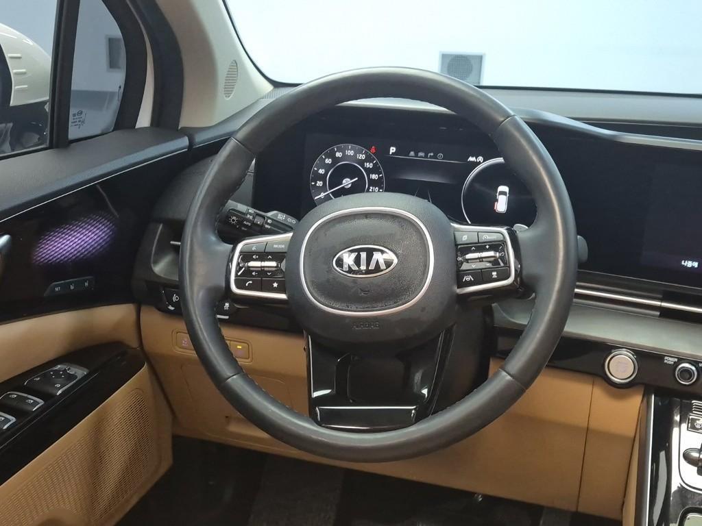 KIA Carnival - Vista 8