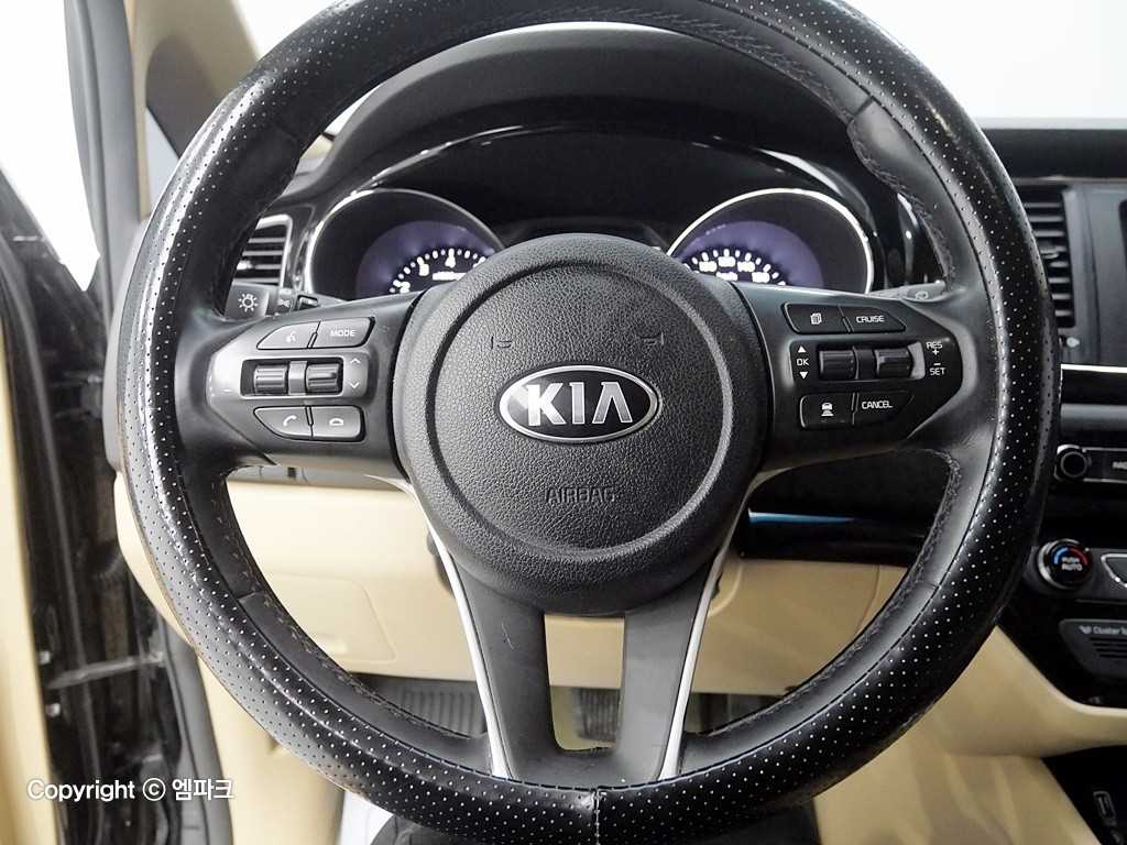 KIA Carnival - Vista 8