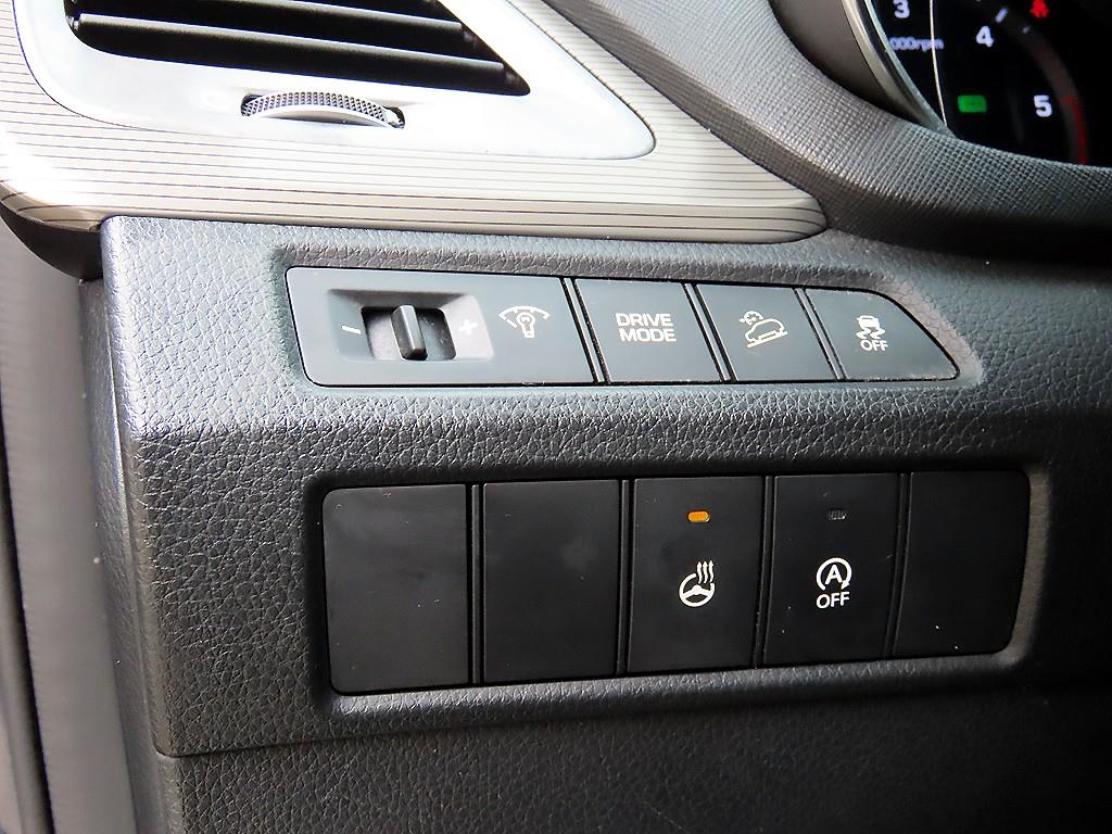 HYUNDAI Maxcruz - Vista 12