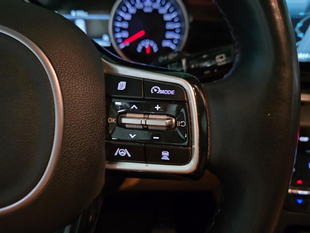 KIA Carnival - Vista 10