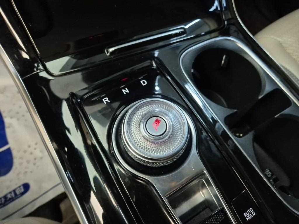 KIA Carnival - Vista 8