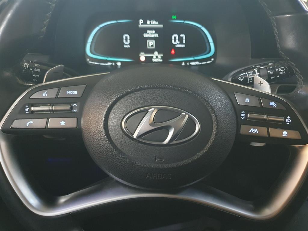 HYUNDAI Palisade - Vista 12