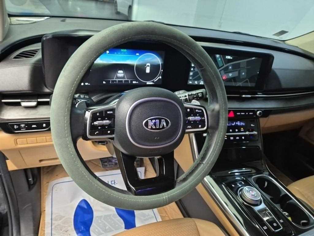 KIA Carnival - Vista 9