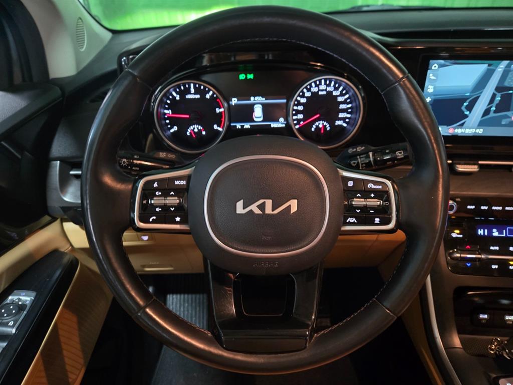 KIA Carnival - Vista 9