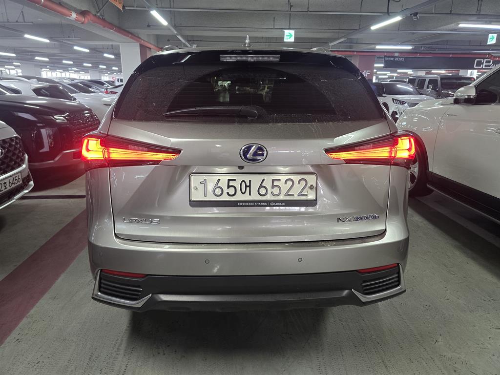 Lexus NX - Vista 4
