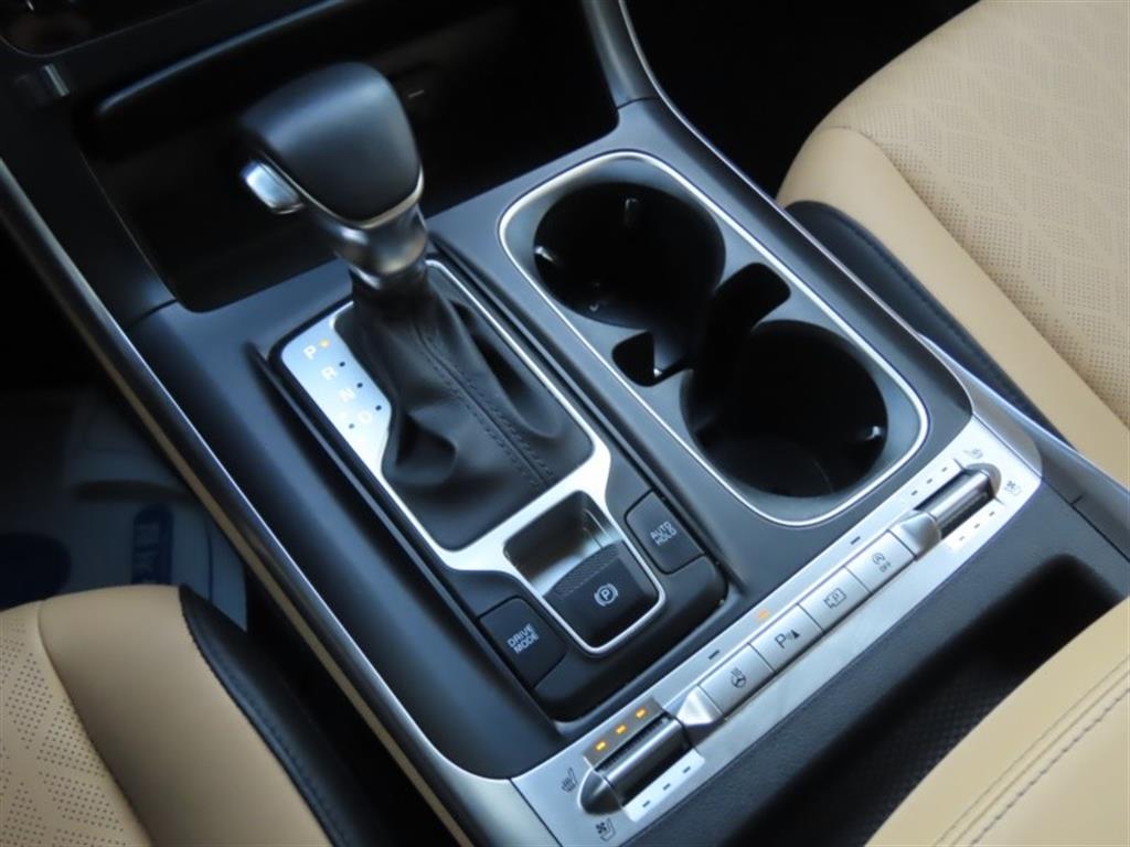 KIA Carnival - Vista 11