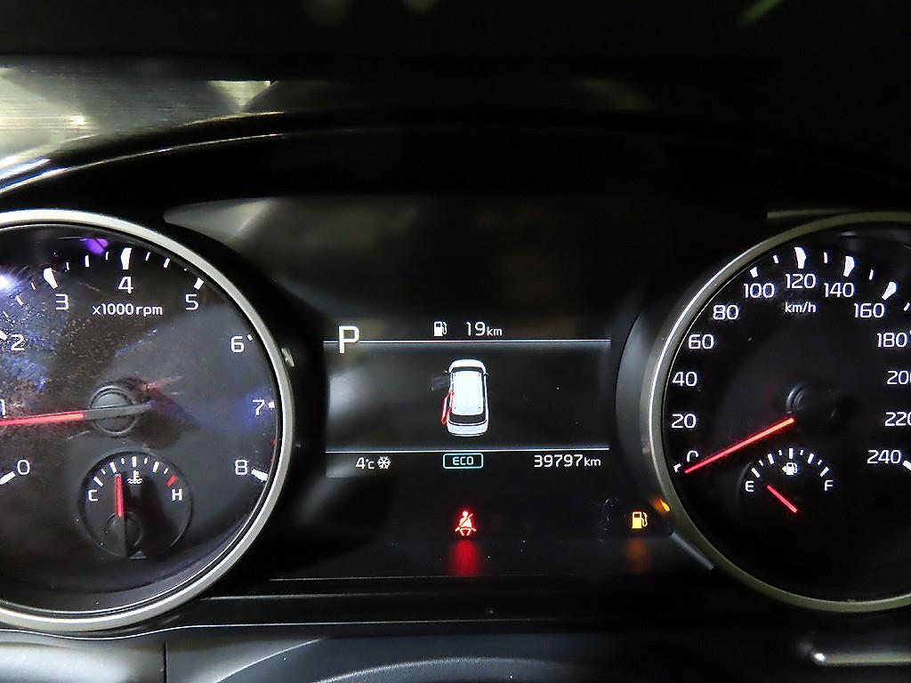 KIA Carnival - Vista 9