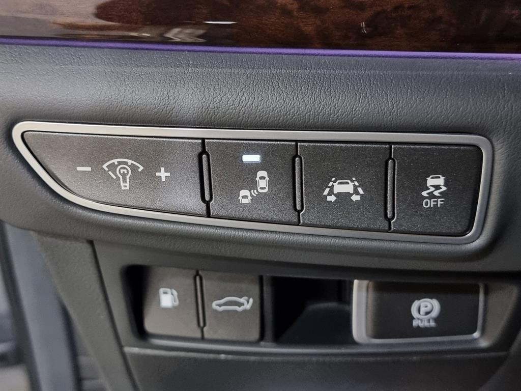 Genesis EQ900 - Vista 12