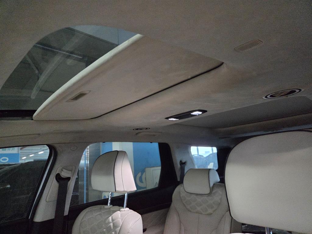 HYUNDAI Palisade - Vista 6