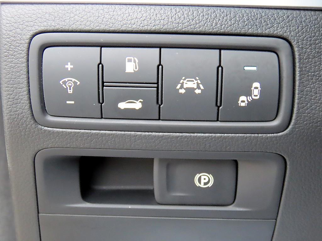 Genesis G80 - Vista 12