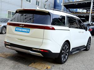 KIA Carnival - Vista 8