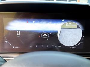 KIA Carnival - Vista 12