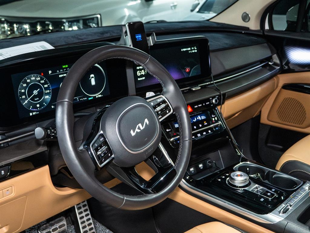 KIA Carnival - Vista 6