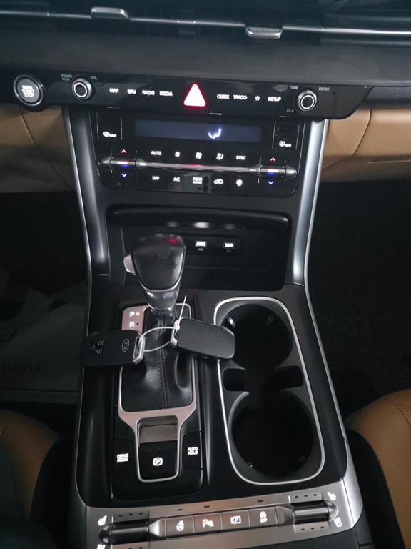 KIA Carnival - Vista 12