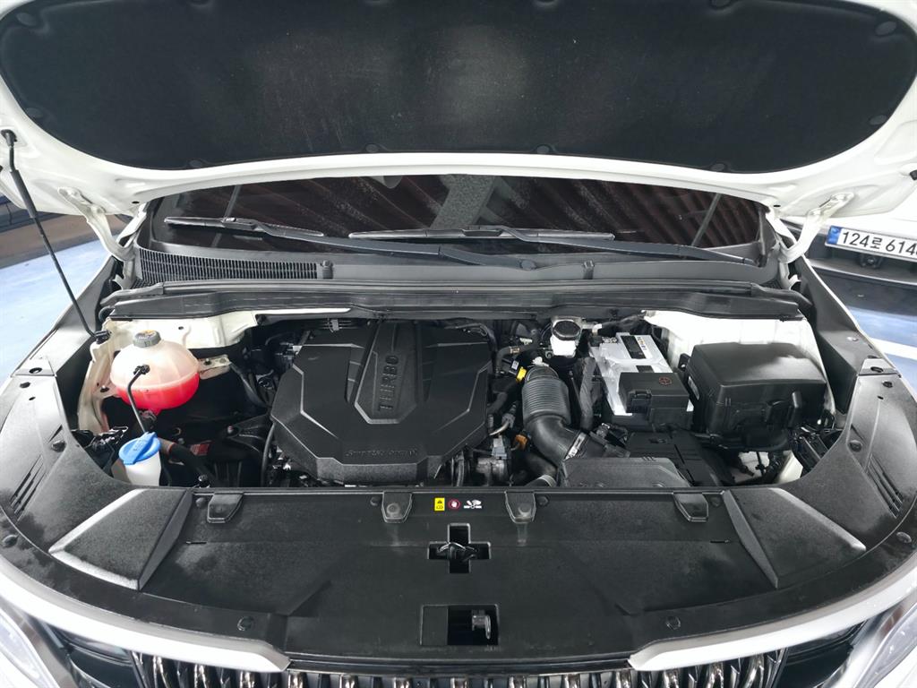 KIA Carnival - Vista 7